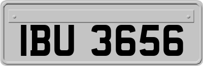 IBU3656