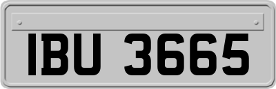 IBU3665