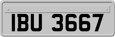 IBU3667