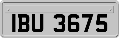 IBU3675