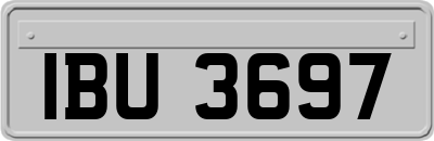 IBU3697