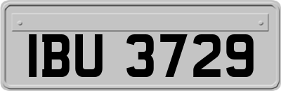 IBU3729