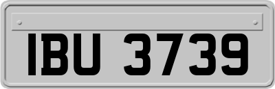 IBU3739
