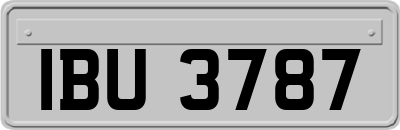 IBU3787