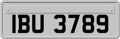 IBU3789