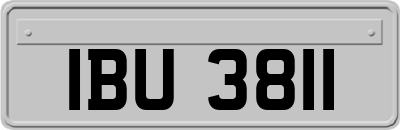 IBU3811