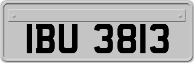 IBU3813