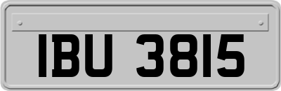 IBU3815