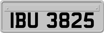 IBU3825