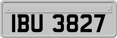 IBU3827