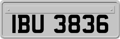 IBU3836