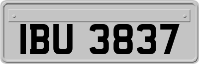 IBU3837