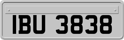 IBU3838