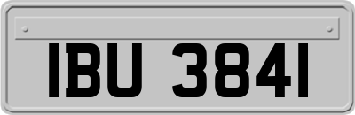 IBU3841