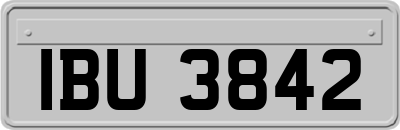 IBU3842