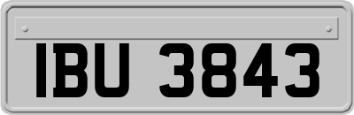 IBU3843