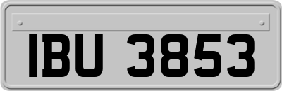 IBU3853
