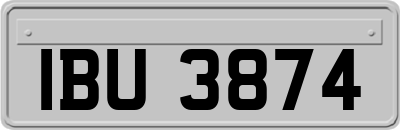 IBU3874