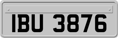 IBU3876