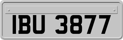 IBU3877