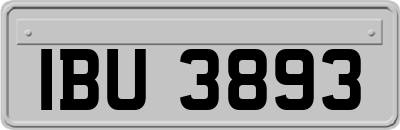 IBU3893