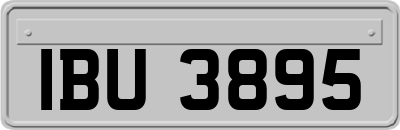 IBU3895