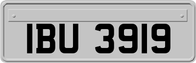 IBU3919