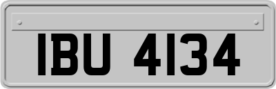 IBU4134