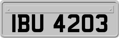 IBU4203