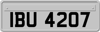 IBU4207