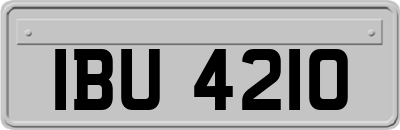 IBU4210