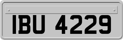 IBU4229
