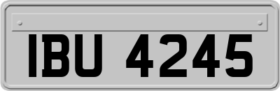 IBU4245