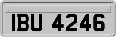IBU4246