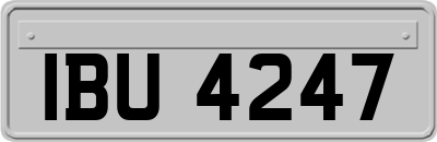 IBU4247