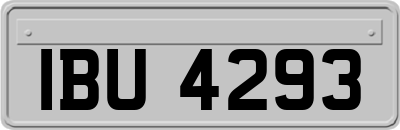 IBU4293