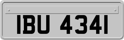 IBU4341