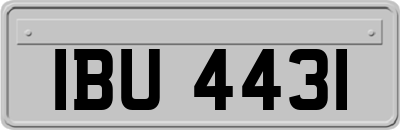 IBU4431