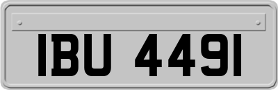 IBU4491