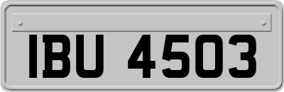 IBU4503