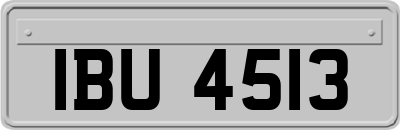 IBU4513