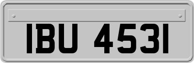 IBU4531