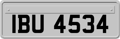 IBU4534