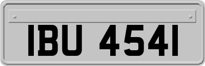 IBU4541