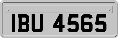 IBU4565