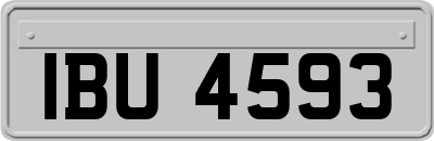 IBU4593