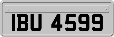 IBU4599