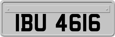 IBU4616