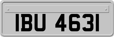 IBU4631