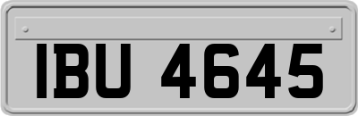 IBU4645